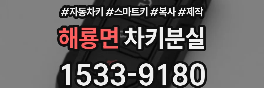 해룡면 차키분실