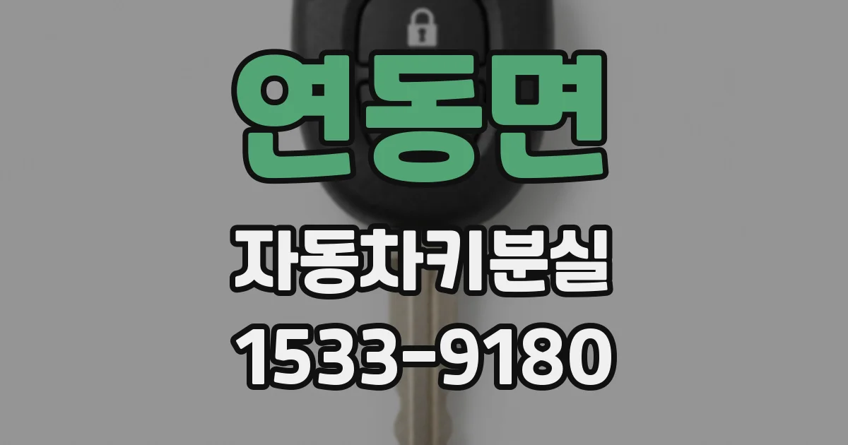 연동면 자동차키분실