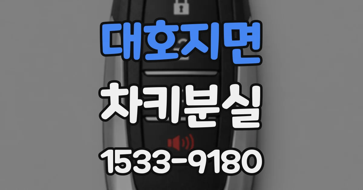대호지면 차키분실