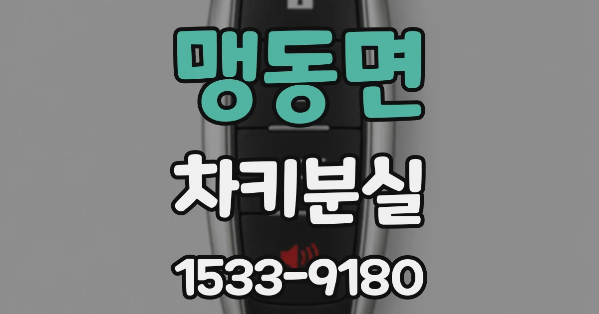 맹동면 차키분실