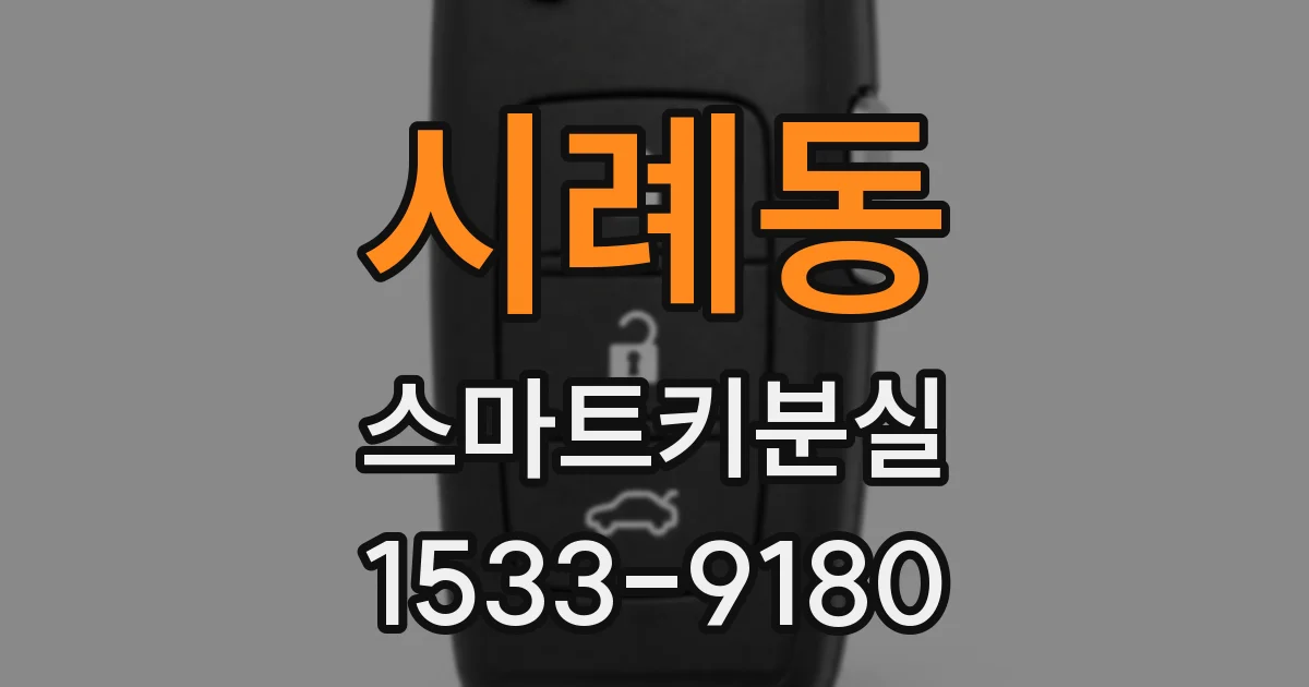 시례동 스마트키분실