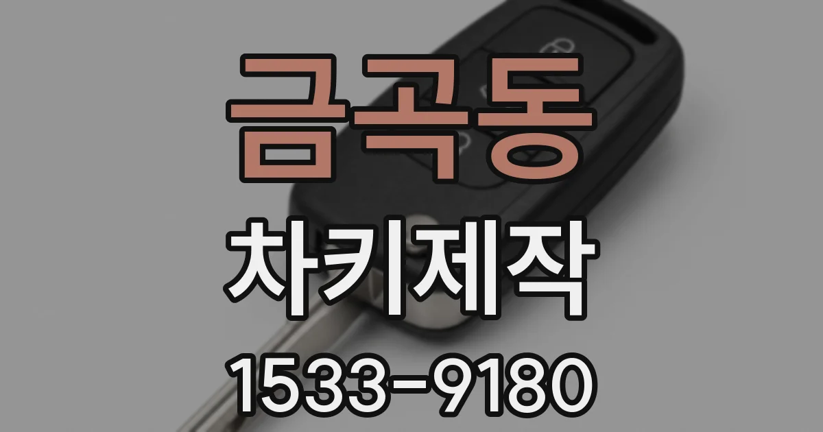 금곡동 차키제작