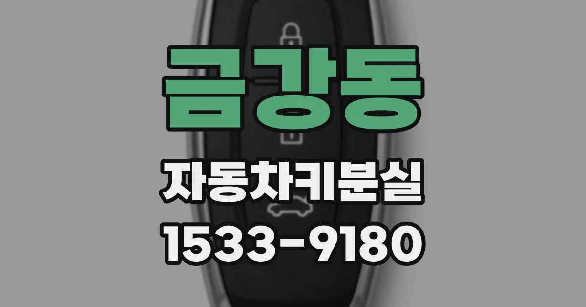 금강동 자동차키분실
