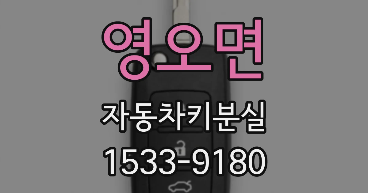 영오면 자동차키분실