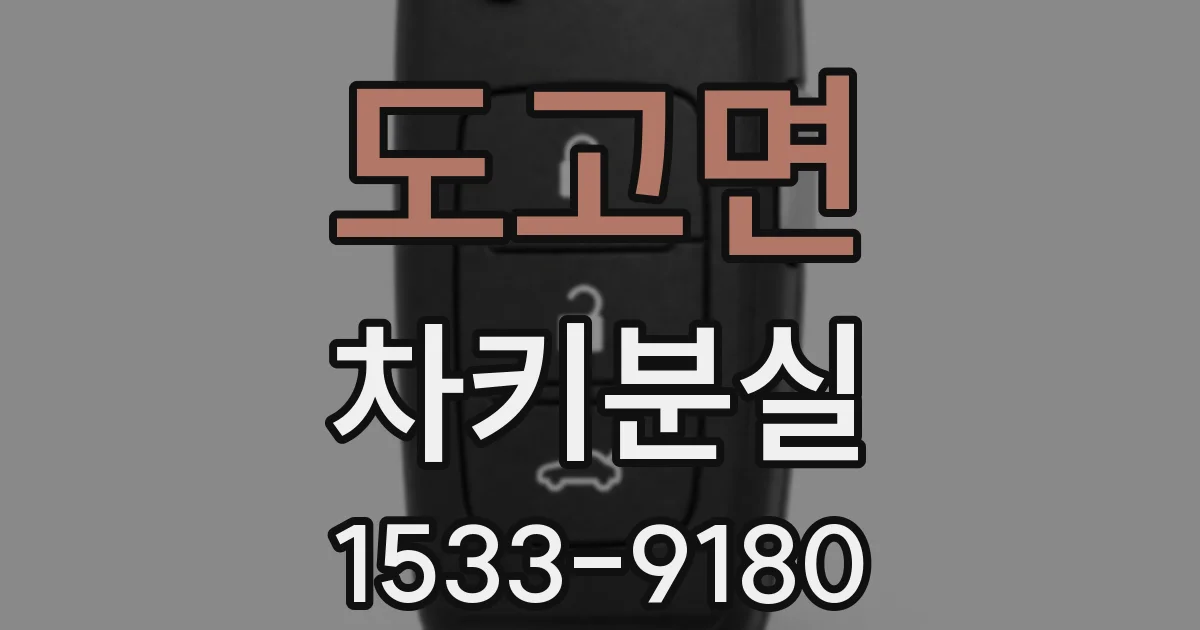 도고면 차키분실