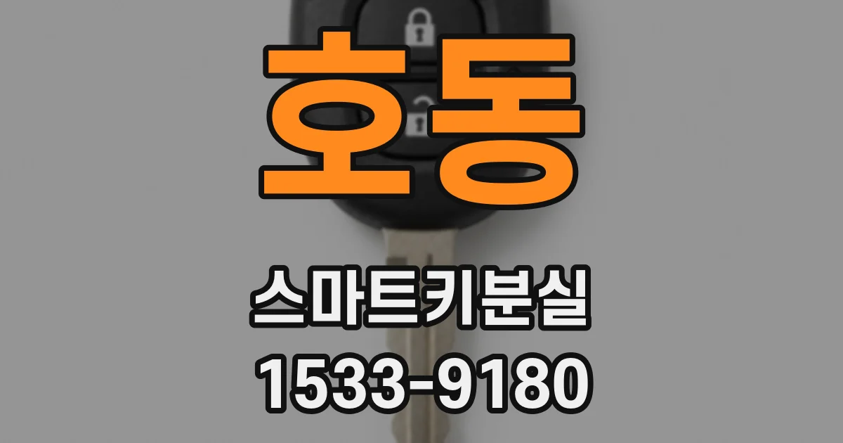 호동 스마트키분실