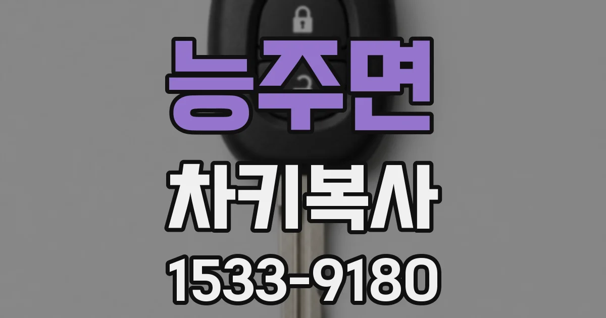 능주면 차키복사