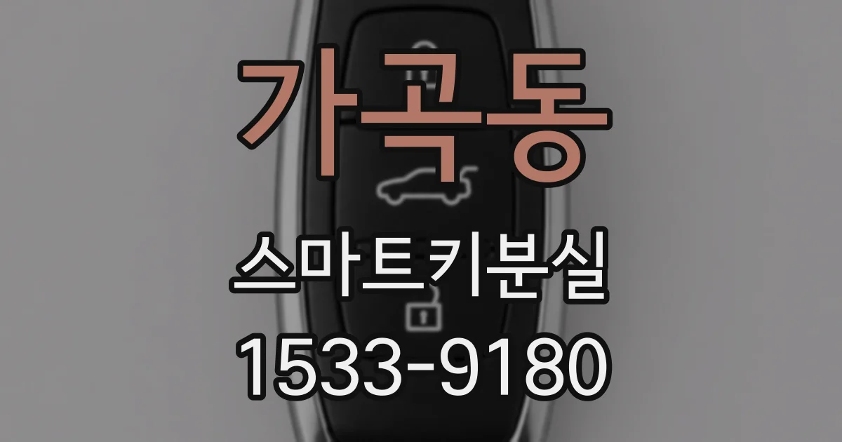 가곡동 스마트키분실