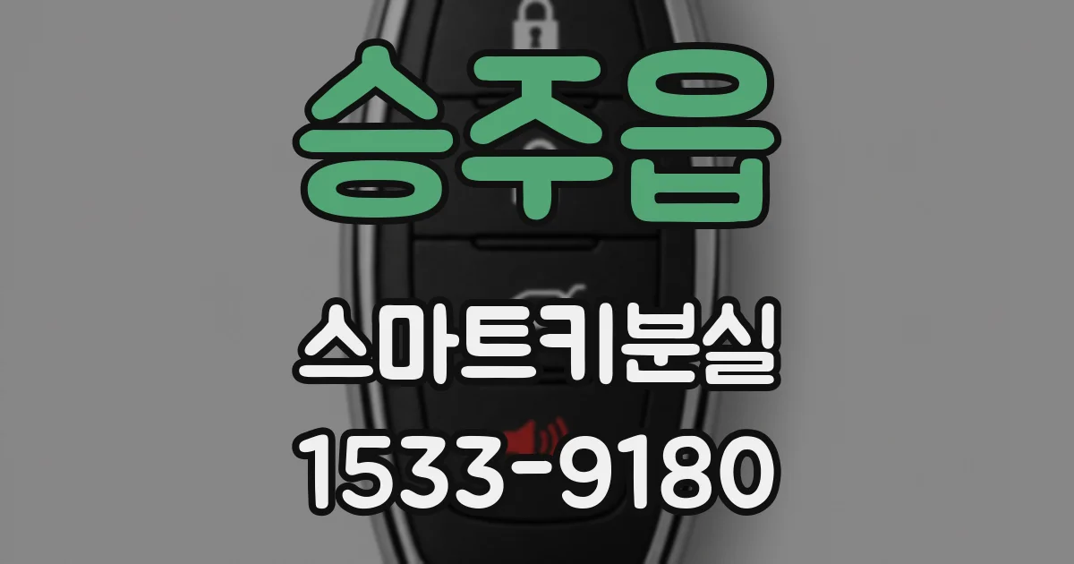 승주읍 스마트키분실