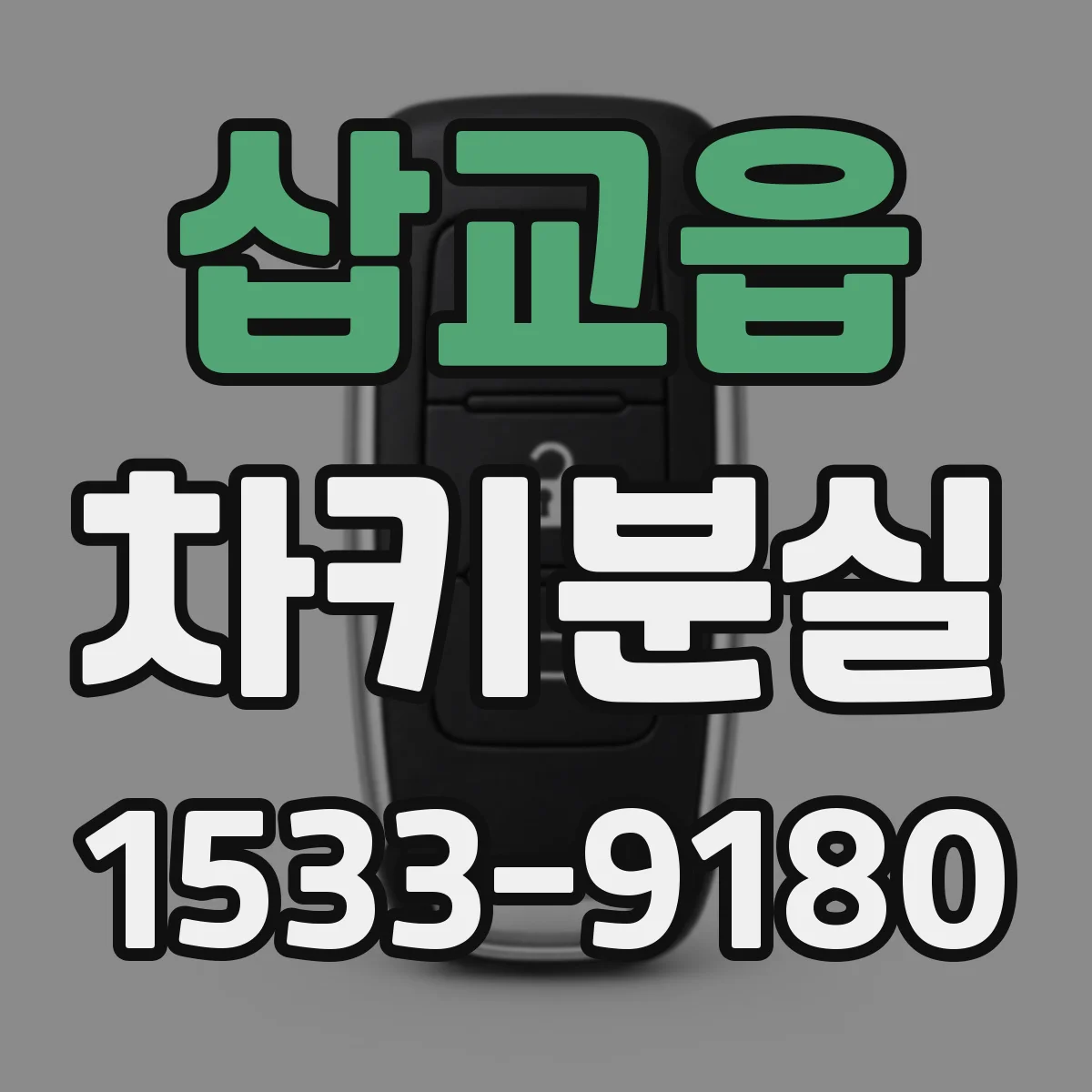 삽교읍 차키분실