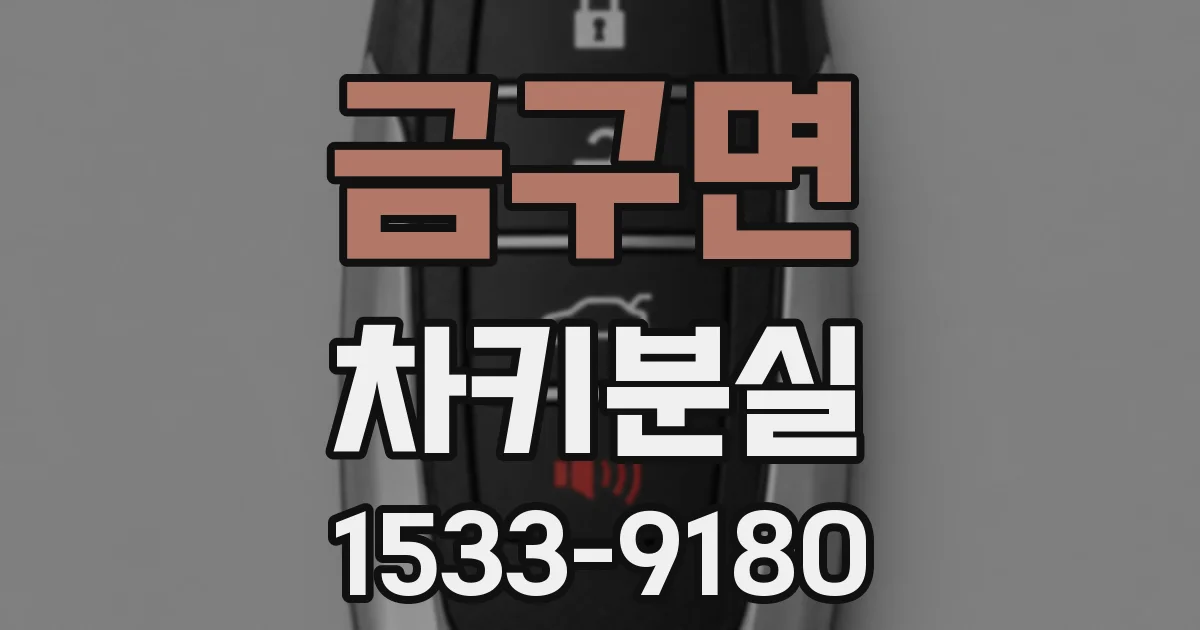 금구면 차키분실