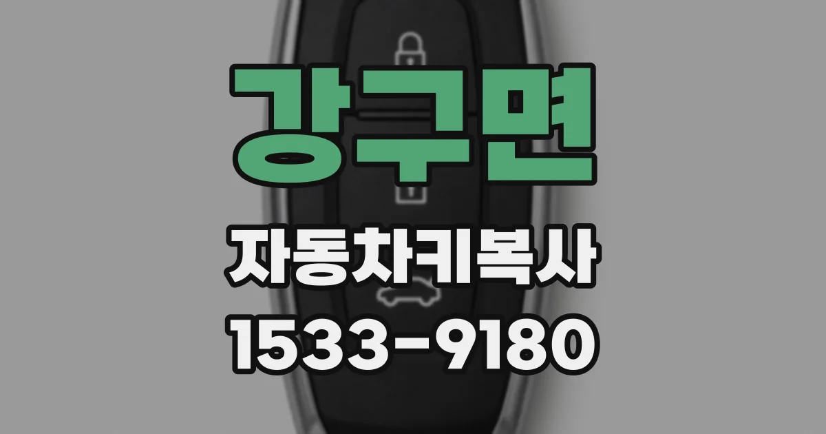 강구면 자동차키복사