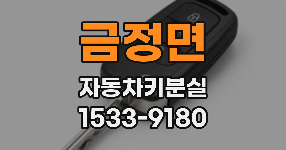 금정면 자동차키분실