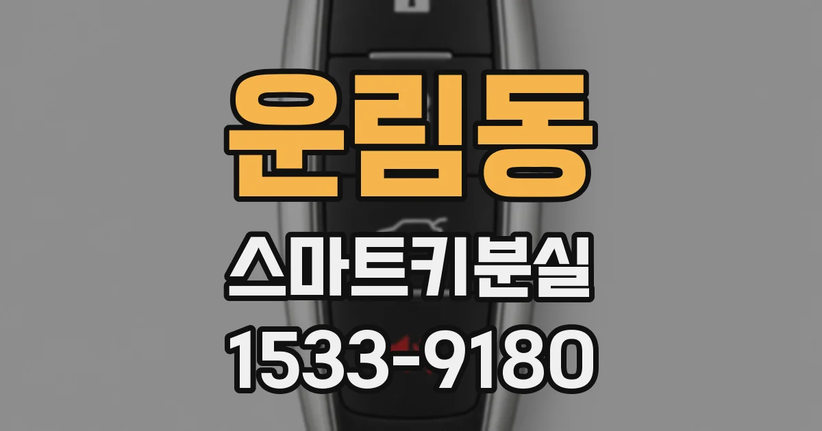 운림동 스마트키분실