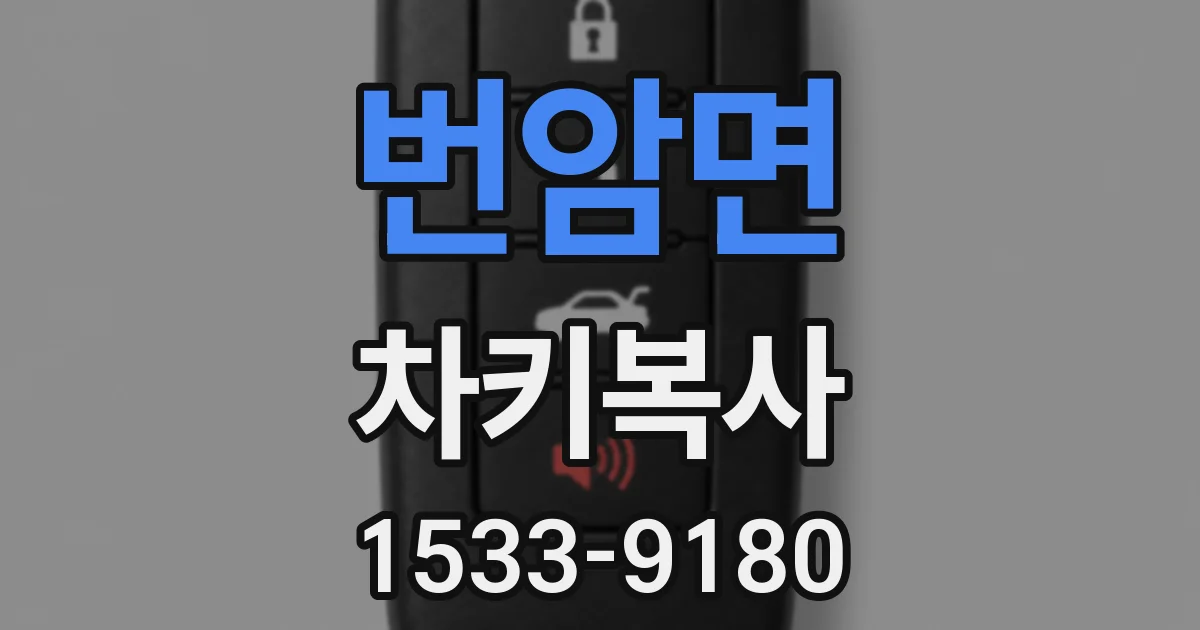 번암면 차키복사