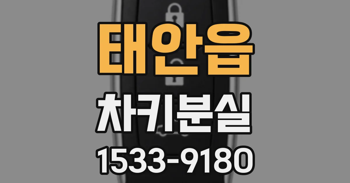 태안읍 차키분실