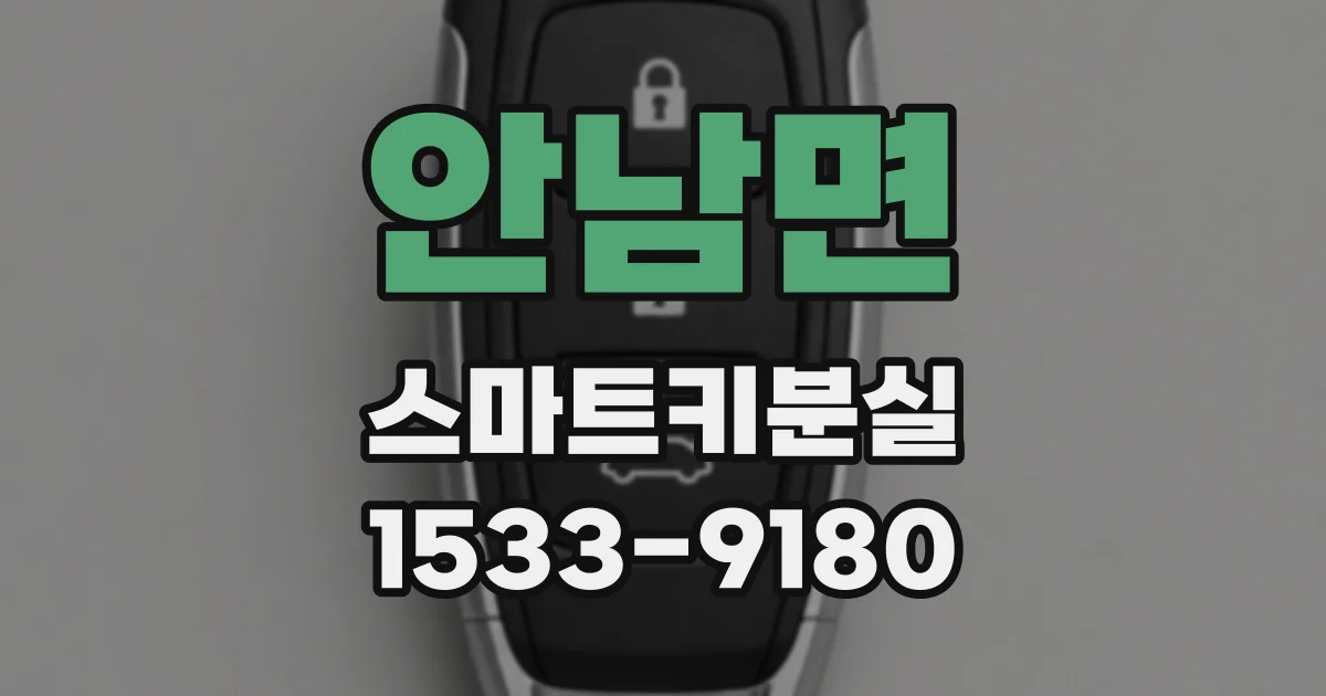 안남면 스마트키분실