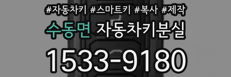 수동면 자동차키분실