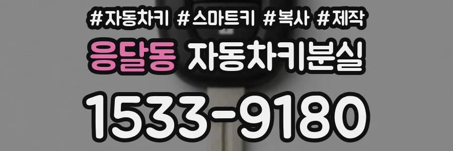 응달동 자동차키분실