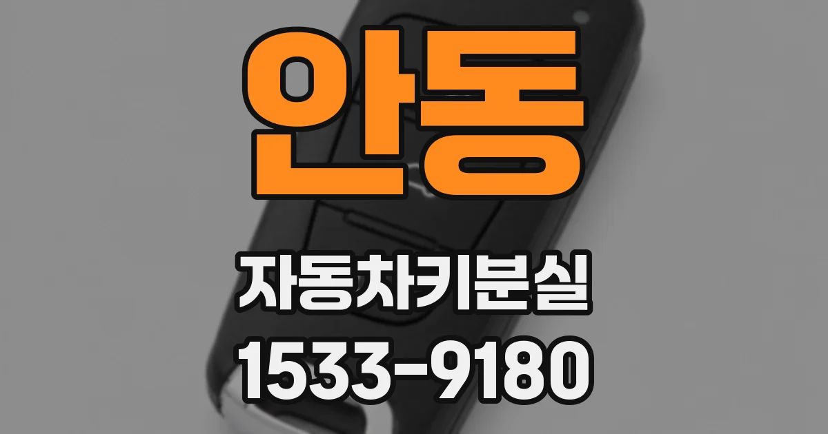 안동 자동차키분실