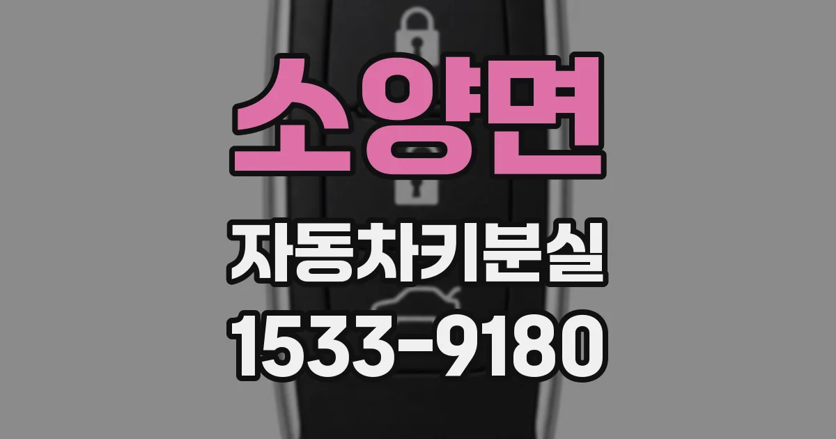 소양면 자동차키분실