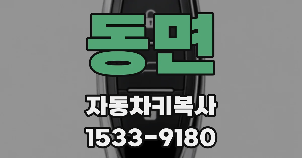 동면 자동차키복사