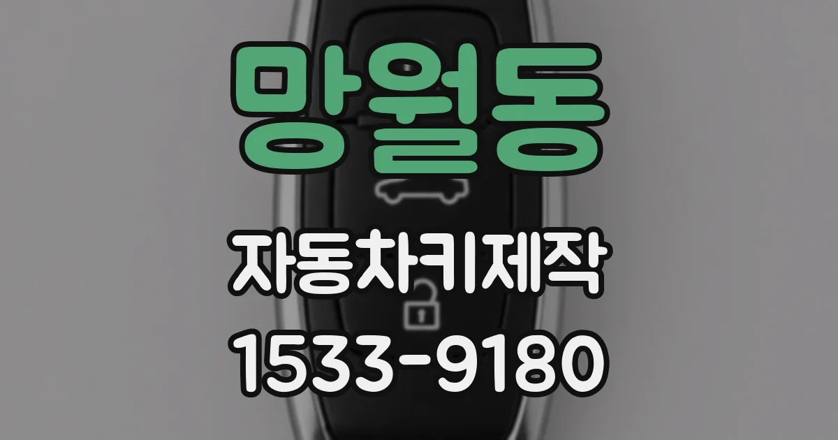 망월동 자동차키제작