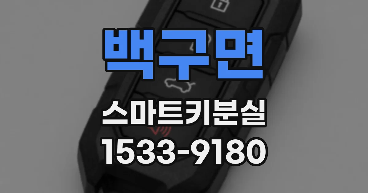 백구면 스마트키분실