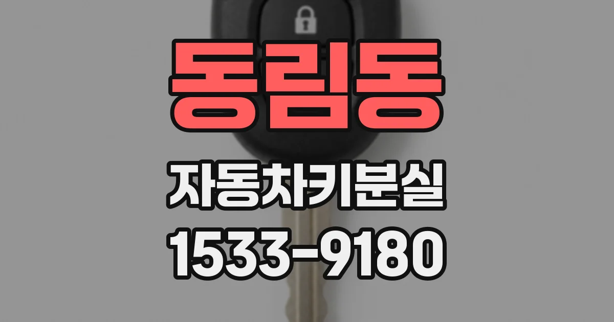 동림동 자동차키분실