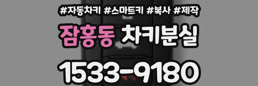 잠홍동 차키분실