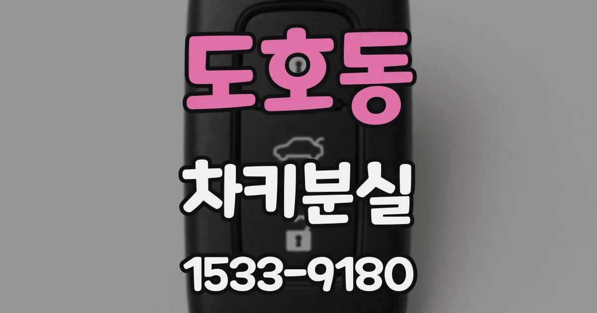 도호동 차키분실