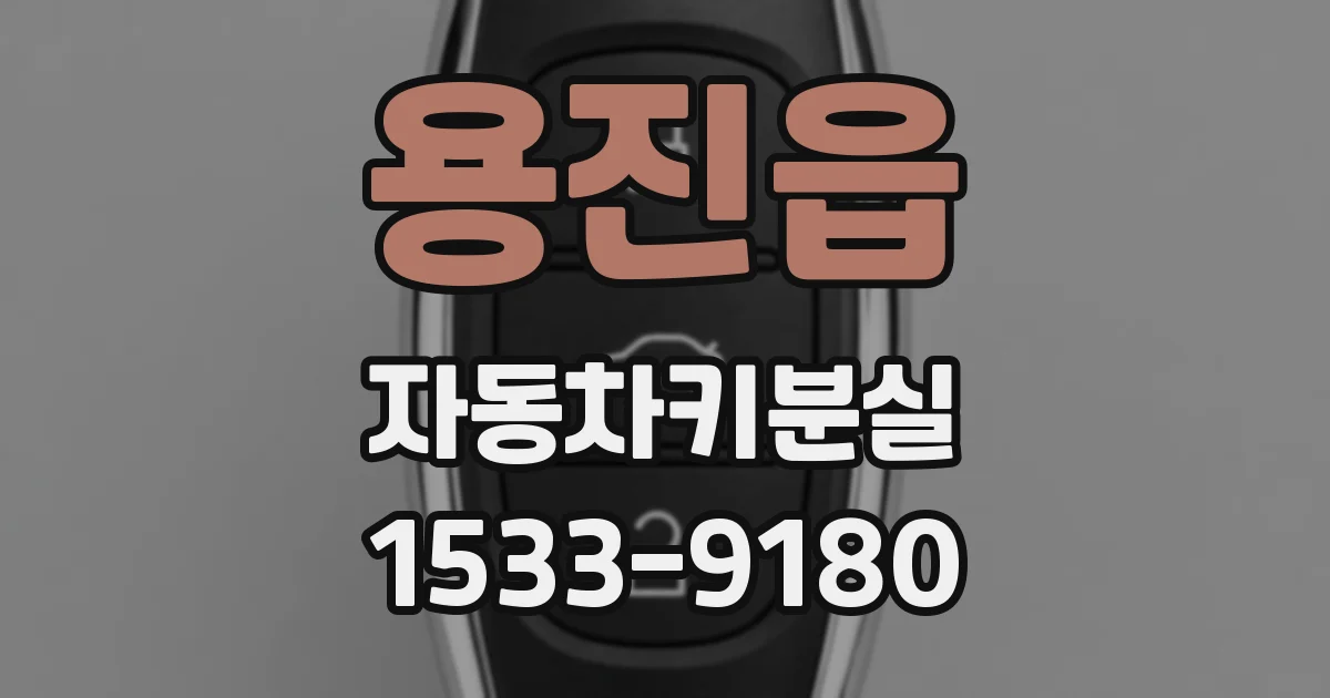 용진읍 자동차키분실