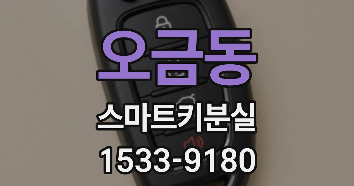 오금동 스마트키분실