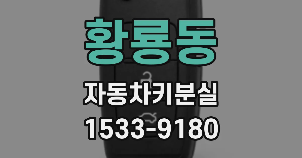 황룡동 자동차키분실