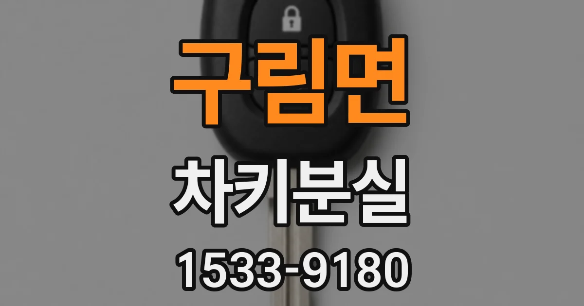 구림면 차키분실