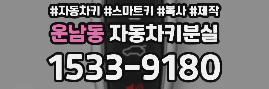 운남동 자동차키분실
