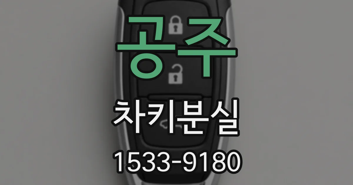 공주 차키분실