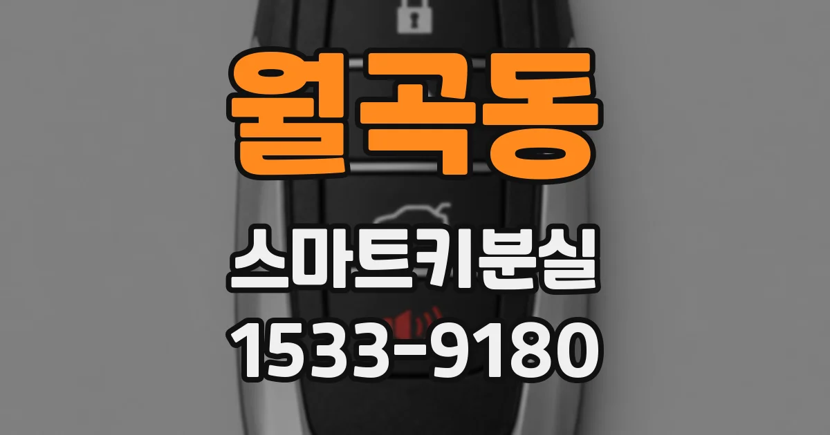 월곡동 스마트키분실