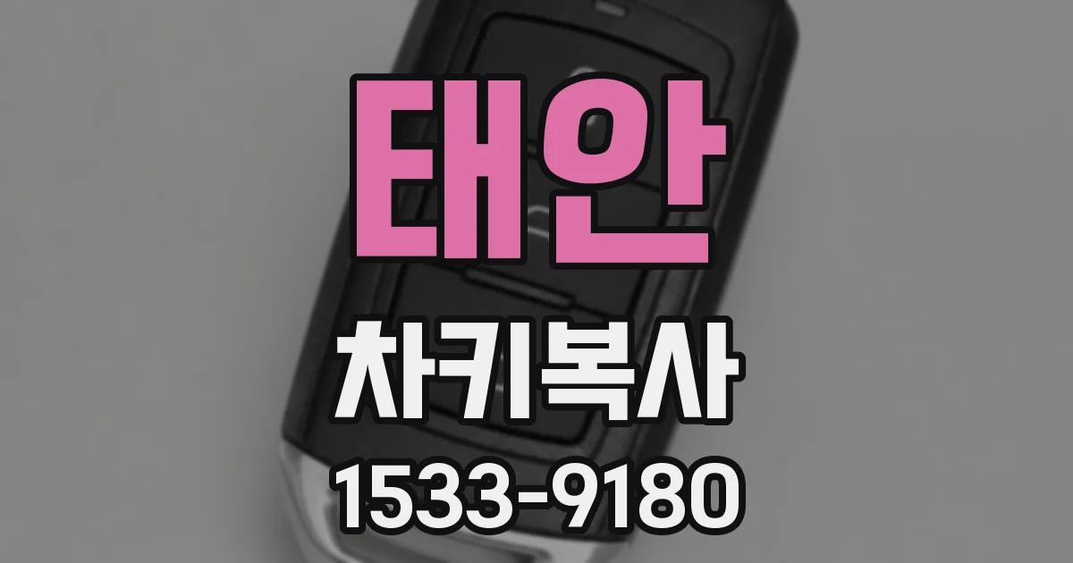 태안 차키복사