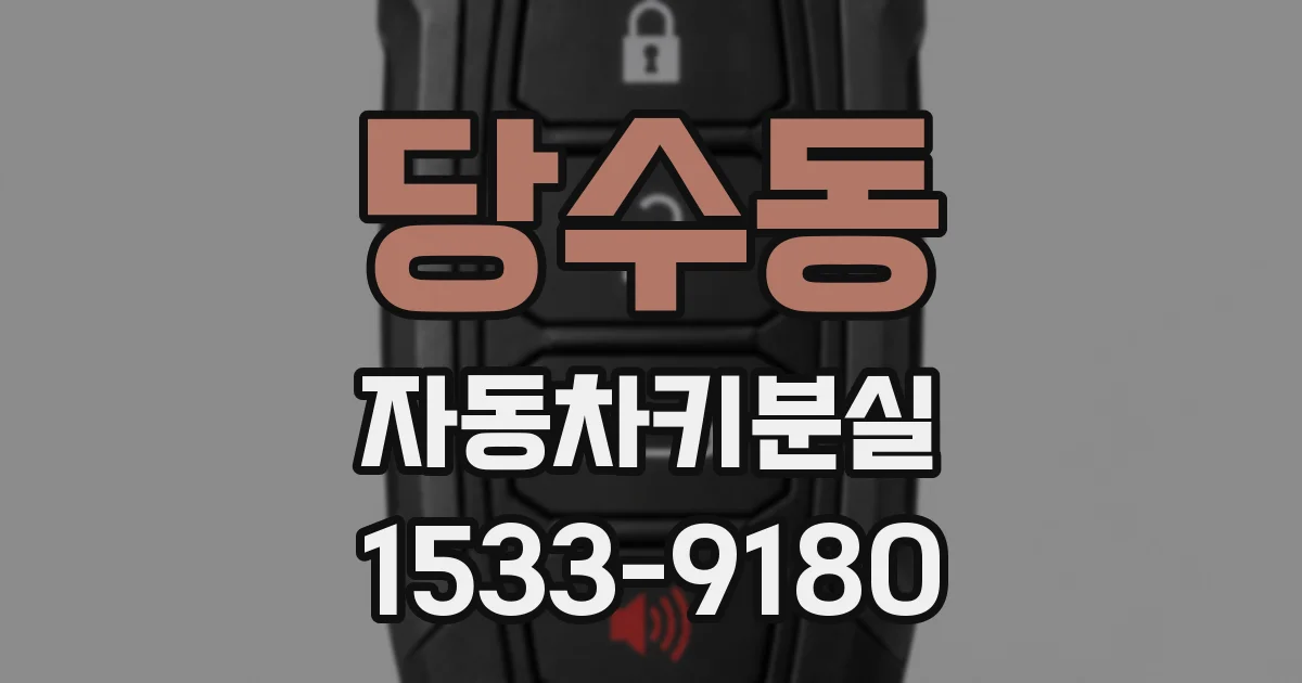 당수동 자동차키분실