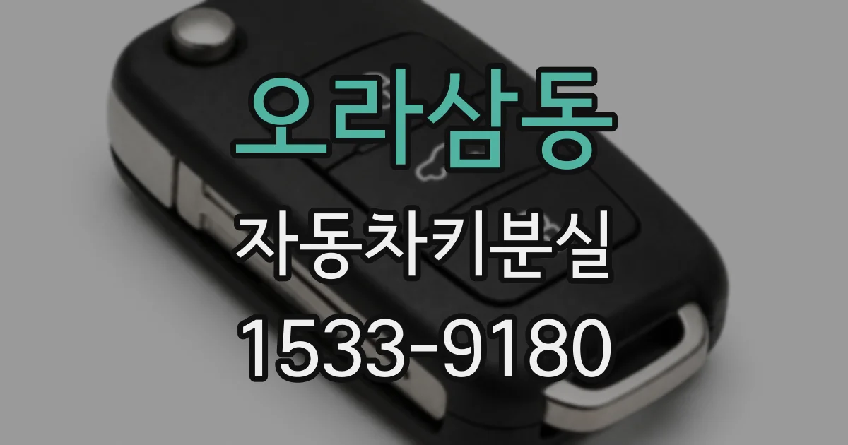 오라삼동 자동차키분실