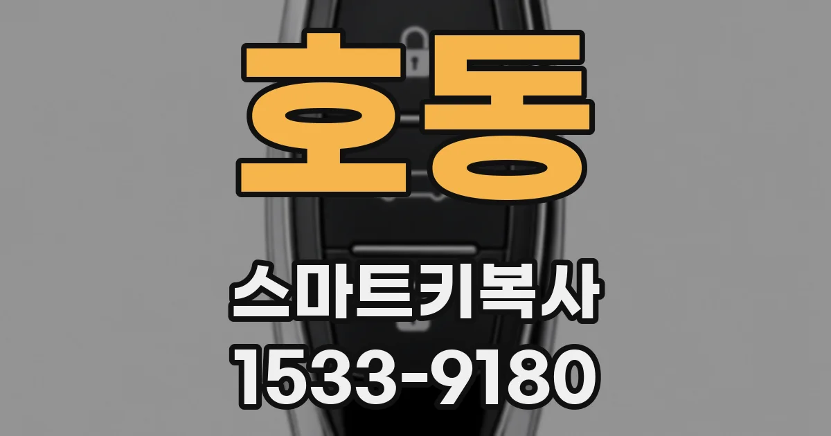 호동 스마트키복사