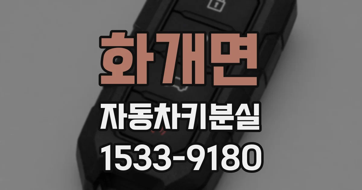 화개면 자동차키분실