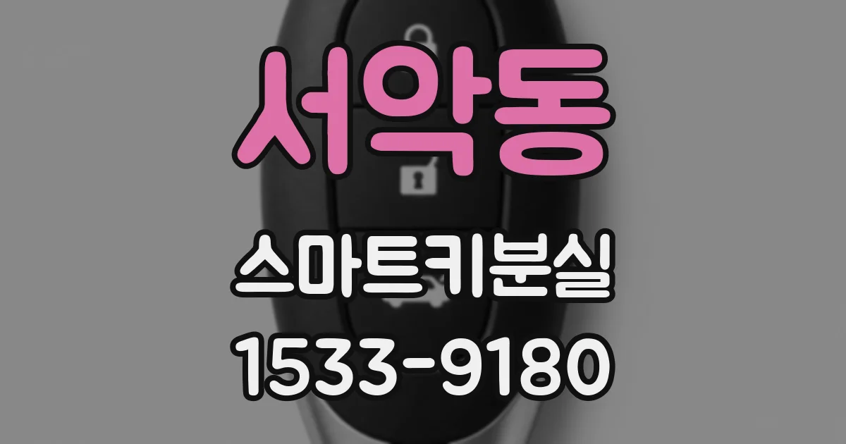 서악동 스마트키분실