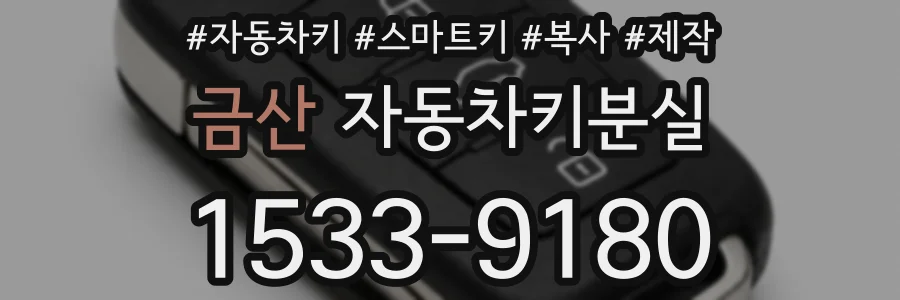 금산 자동차키분실