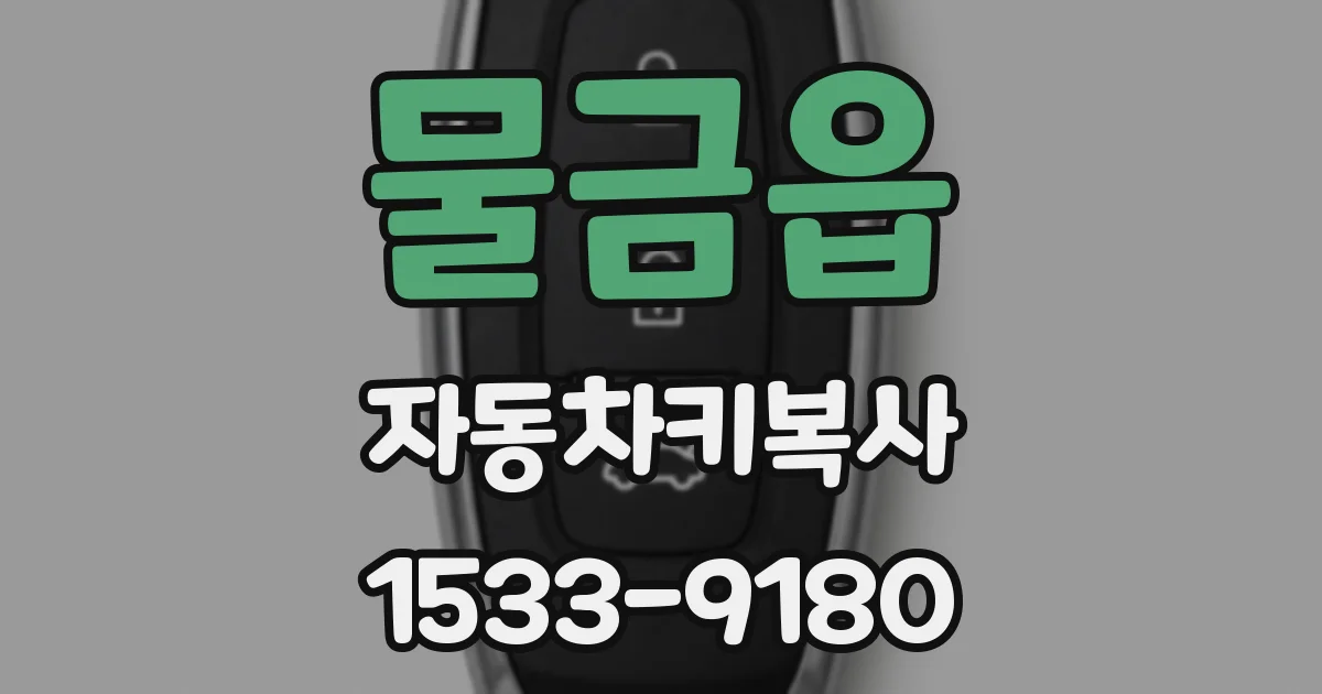 물금읍 자동차키복사