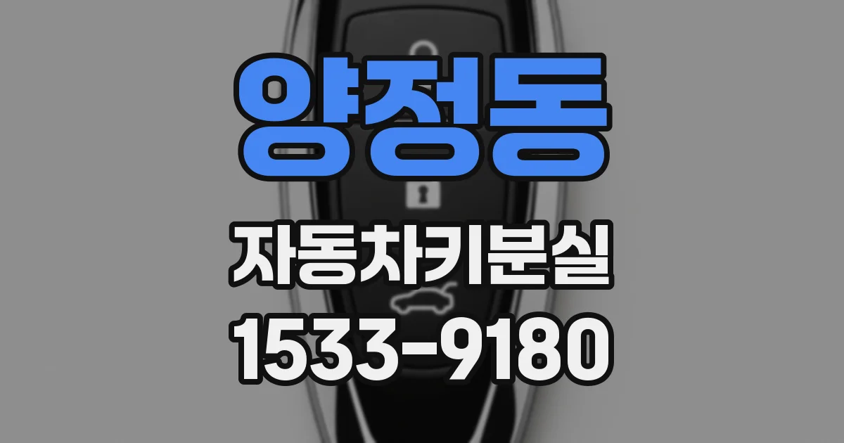 양정동 자동차키분실