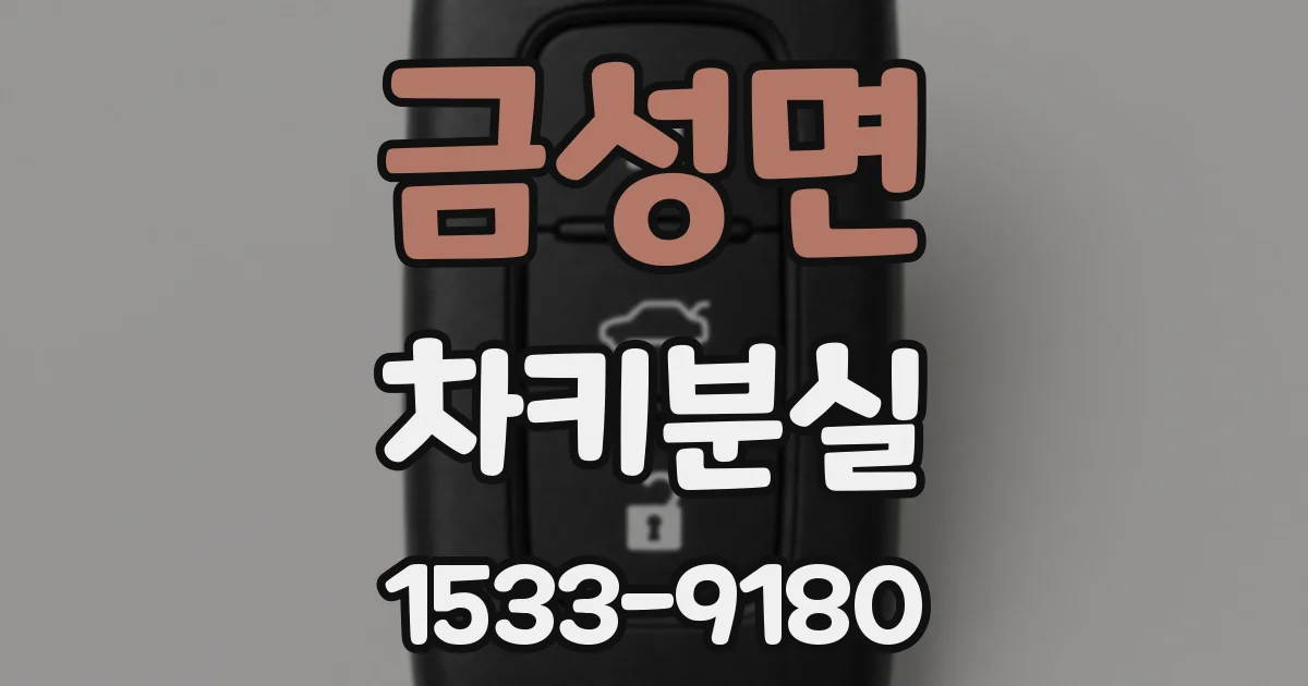 금성면 차키분실