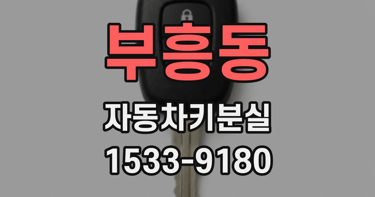 부흥동 자동차키분실
