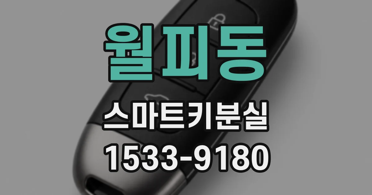 월피동 스마트키분실